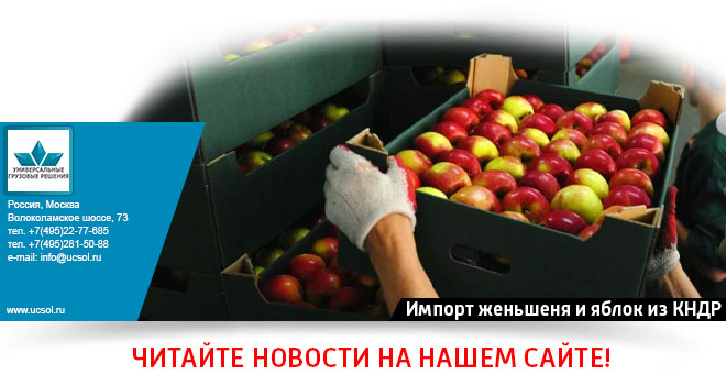 Импорт женьшеня и яблок из КНДР