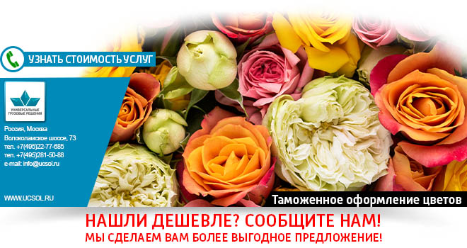 Таможенное оформление Цветов – Затаможка и Растаможка Таможенное оформление Цветов, растаможка и затаможка